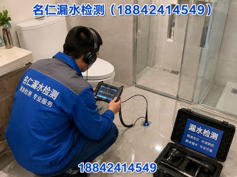 新民市管道漏水检测展示图